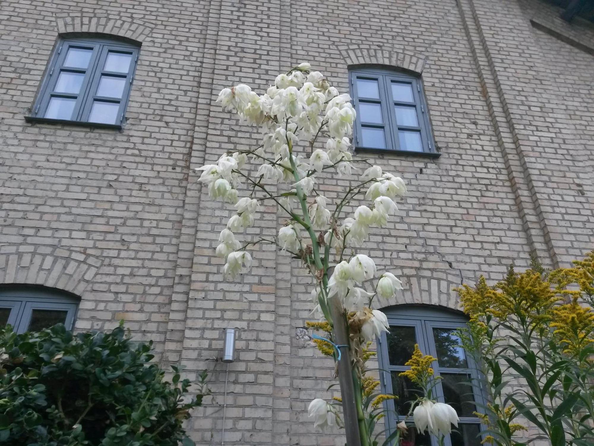 Skelstrupgaard Apartments Maribo Exterior photo